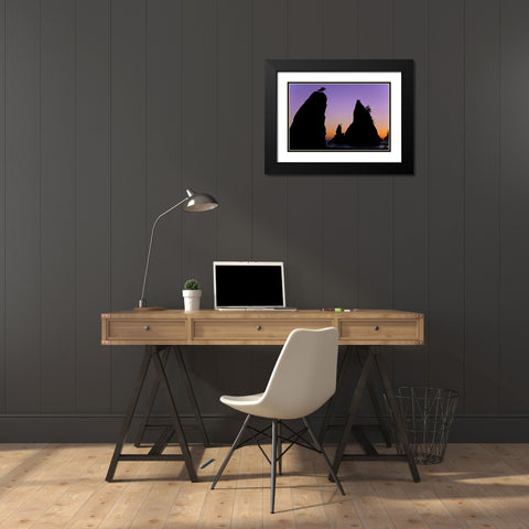 WA, Olympic NP Sunset on Rialto Beach sea stacks Black Modern Wood Framed Art Print with Double Matting by Paulson, Don