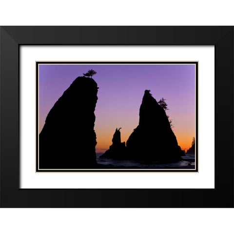 WA, Olympic NP Sunset on Rialto Beach sea stacks Black Modern Wood Framed Art Print with Double Matting by Paulson, Don