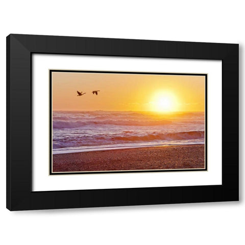 WA, Olympic NP Canada geese over Rialto Beach Black Modern Wood Framed Art Print with Double Matting by Paulson, Don