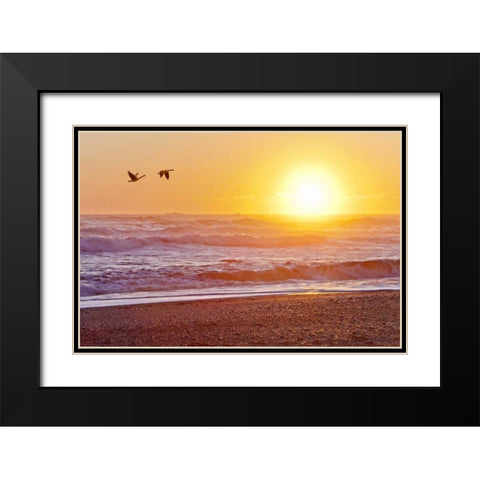 WA, Olympic NP Canada geese over Rialto Beach Black Modern Wood Framed Art Print with Double Matting by Paulson, Don