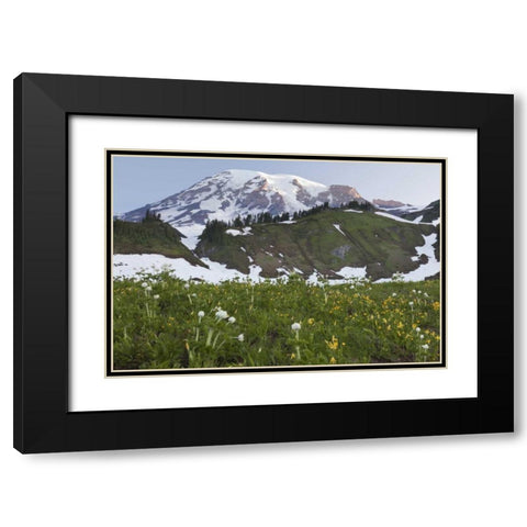 WA, Mt Rainier NP Sunrise on meadow with flowers Black Modern Wood Framed Art Print with Double Matting by Paulson, Don