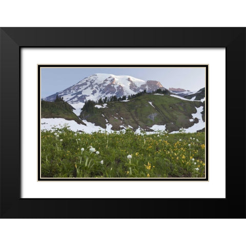 WA, Mt Rainier NP Sunrise on meadow with flowers Black Modern Wood Framed Art Print with Double Matting by Paulson, Don