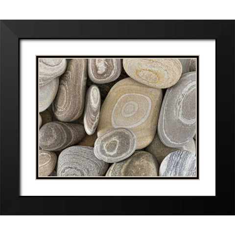 Washington, Seabeck Close-up of beach stones Black Modern Wood Framed Art Print with Double Matting by Paulson, Don