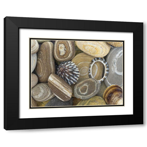 Washington, Seabeck Beach stones and shells Black Modern Wood Framed Art Print with Double Matting by Paulson, Don