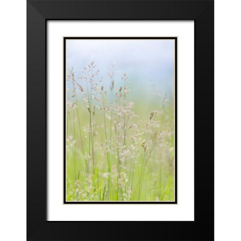 USA, Washington, Seabeck Grasses in motion Black Modern Wood Framed Art Print with Double Matting by Paulson, Don