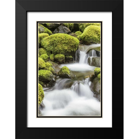 Washington, Olympic NP Small stream in forest Black Modern Wood Framed Art Print with Double Matting by Paulson, Don