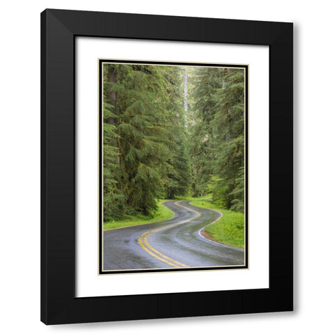 WA, Olympic NP Sol Duc River Road through forest Black Modern Wood Framed Art Print with Double Matting by Paulson, Don