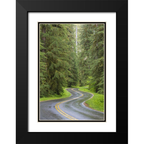 WA, Olympic NP Sol Duc River Road through forest Black Modern Wood Framed Art Print with Double Matting by Paulson, Don