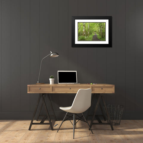 Washington, Olympic NP Trail through a forest Black Modern Wood Framed Art Print with Double Matting by Paulson, Don