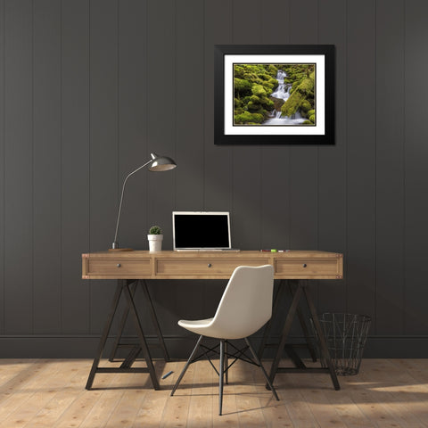 Washington, Olympic NP Small stream in forest Black Modern Wood Framed Art Print with Double Matting by Paulson, Don