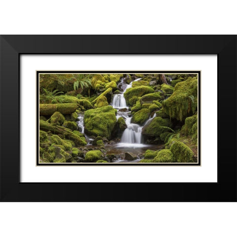 Washington, Olympic NP Small stream in forest Black Modern Wood Framed Art Print with Double Matting by Paulson, Don