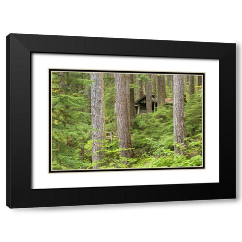 USA, Washington, Olympic NP Forest cabin shelter Black Modern Wood Framed Art Print with Double Matting by Paulson, Don