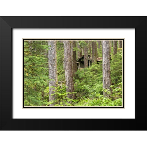 USA, Washington, Olympic NP Forest cabin shelter Black Modern Wood Framed Art Print with Double Matting by Paulson, Don