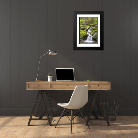 Washington, Olympic NP Small stream in forest Black Modern Wood Framed Art Print with Double Matting by Paulson, Don