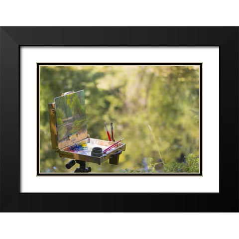 WA, Bainbridge Island Scenic painting on a mount Black Modern Wood Framed Art Print with Double Matting by Paulson, Don