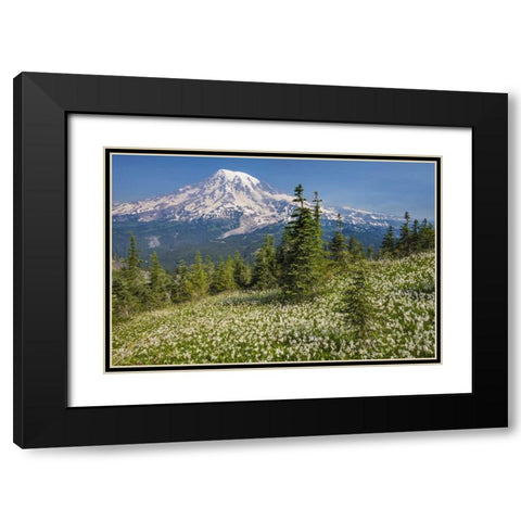 Washington Avalanche lilies and Mount Rainier Black Modern Wood Framed Art Print with Double Matting by Paulson, Don