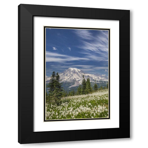 Washington Avalanche lilies and Mount Rainier Black Modern Wood Framed Art Print with Double Matting by Paulson, Don