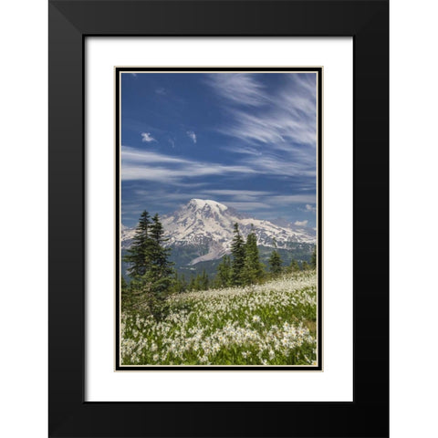 Washington Avalanche lilies and Mount Rainier Black Modern Wood Framed Art Print with Double Matting by Paulson, Don