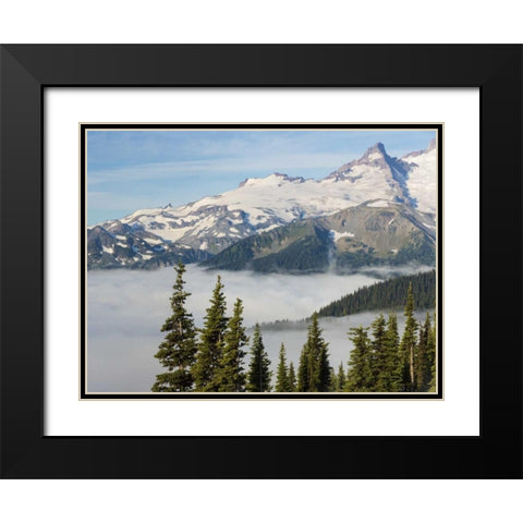 WA, Mt Rainier NP Landscape from Sunrise Point Black Modern Wood Framed Art Print with Double Matting by Paulson, Don