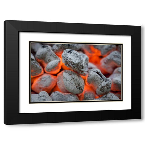 Washington, Seabeck Close-up of hot charcoal Black Modern Wood Framed Art Print with Double Matting by Paulson, Don