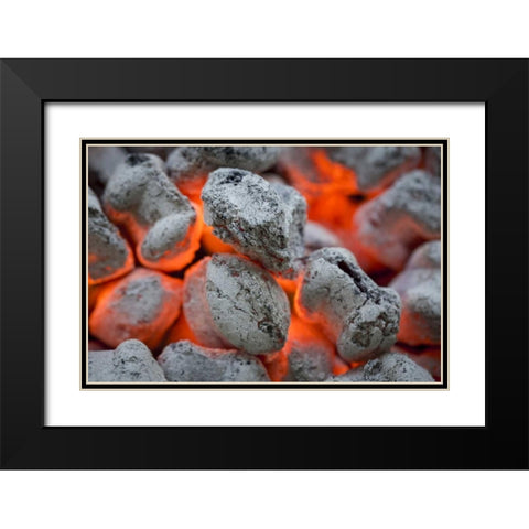 Washington, Seabeck Close-up of hot charcoal Black Modern Wood Framed Art Print with Double Matting by Paulson, Don
