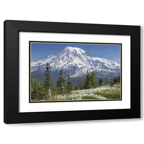 Washington Avalanche lilies and Mount Rainier Black Modern Wood Framed Art Print with Double Matting by Paulson, Don