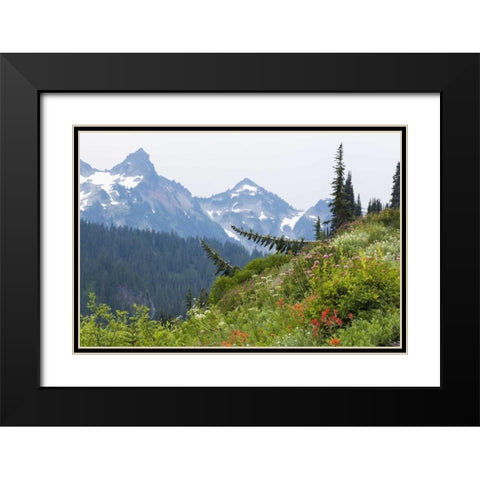WA Alpine meadow and Tatoosh Range Black Modern Wood Framed Art Print with Double Matting by Paulson, Don