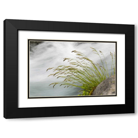 WA, Mount Rainier NP Grass and rushing water Black Modern Wood Framed Art Print with Double Matting by Paulson, Don