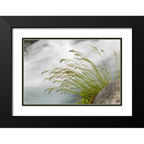 WA, Mount Rainier NP Grass and rushing water Black Modern Wood Framed Art Print with Double Matting by Paulson, Don