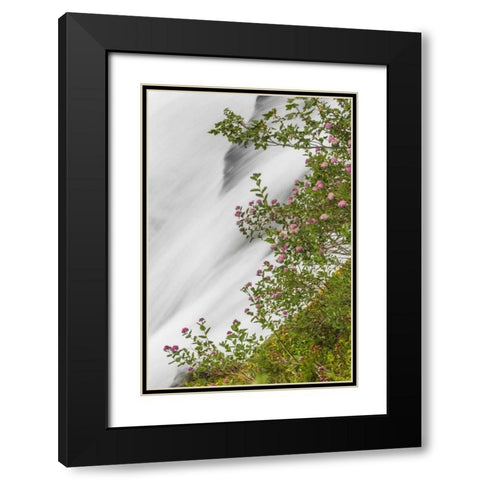 WA, Mount Rainier NP Waterfall in Paradise Creek Black Modern Wood Framed Art Print with Double Matting by Paulson, Don