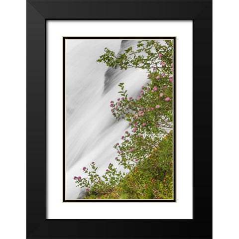 WA, Mount Rainier NP Waterfall in Paradise Creek Black Modern Wood Framed Art Print with Double Matting by Paulson, Don