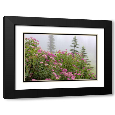 Washington, Mount Rainier NP Wildflowers Black Modern Wood Framed Art Print with Double Matting by Paulson, Don