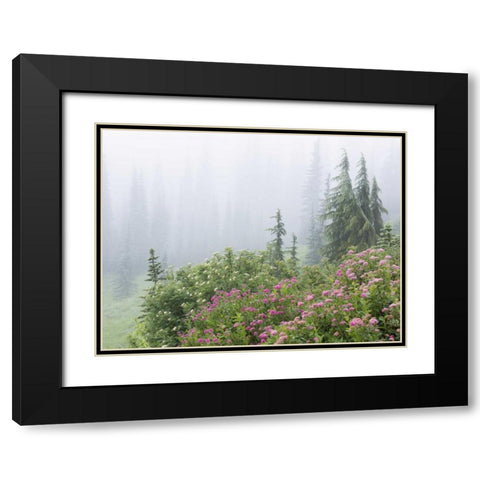 WA, Mount Rainier NP flowers in misty forest Black Modern Wood Framed Art Print with Double Matting by Paulson, Don