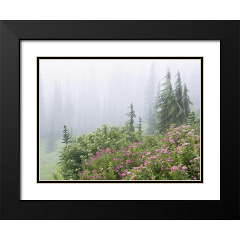 WA, Mount Rainier NP flowers in misty forest Black Modern Wood Framed Art Print with Double Matting by Paulson, Don