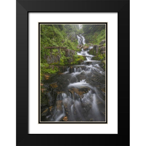WA, Mount Rainier NP Cascades on Sunbeam Creek Black Modern Wood Framed Art Print with Double Matting by Paulson, Don