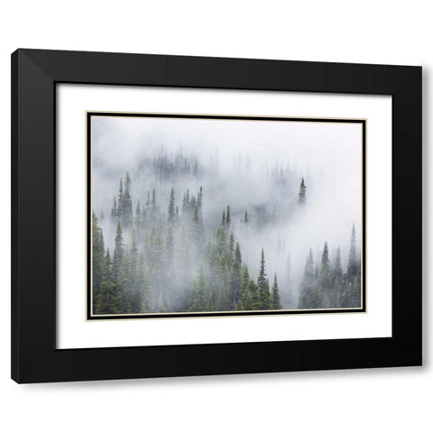 WA, Mount Rainier NP Landscape of fog in forest Black Modern Wood Framed Art Print with Double Matting by Paulson, Don