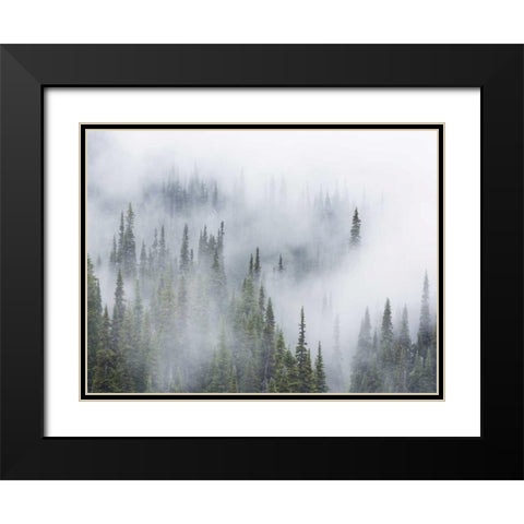 WA, Mount Rainier NP Landscape of fog in forest Black Modern Wood Framed Art Print with Double Matting by Paulson, Don