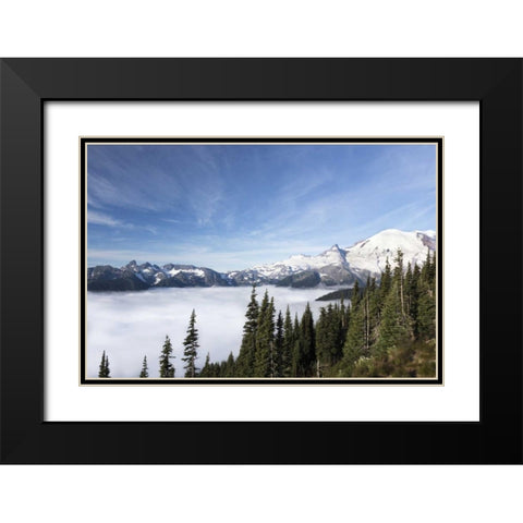 Washington, Mount Rainier NP Sunrise Point Black Modern Wood Framed Art Print with Double Matting by Paulson, Don