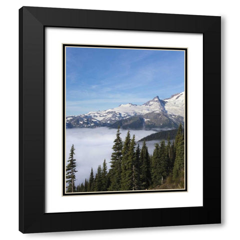 Washington, Mount Rainier NP Sunrise Point Black Modern Wood Framed Art Print with Double Matting by Paulson, Don