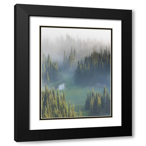 WA, Mount Rainier NP Overview of Surprise Lake Black Modern Wood Framed Art Print with Double Matting by Paulson, Don