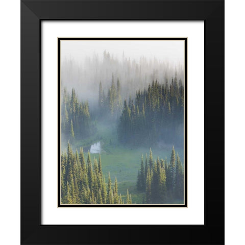 WA, Mount Rainier NP Overview of Surprise Lake Black Modern Wood Framed Art Print with Double Matting by Paulson, Don