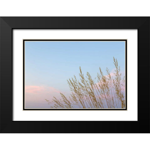 Washington, Seabeck Grasses at sunset Black Modern Wood Framed Art Print with Double Matting by Paulson, Don