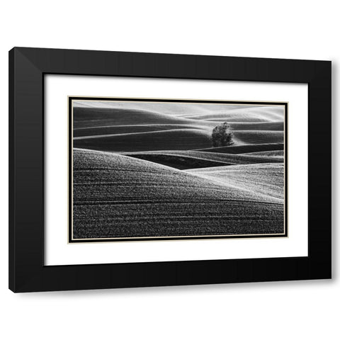 USA, Washington Farm country near Steptoe Butte Black Modern Wood Framed Art Print with Double Matting by Flaherty, Dennis