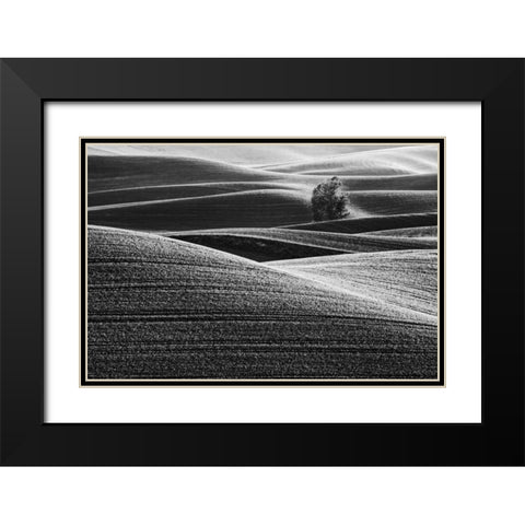 USA, Washington Farm country near Steptoe Butte Black Modern Wood Framed Art Print with Double Matting by Flaherty, Dennis