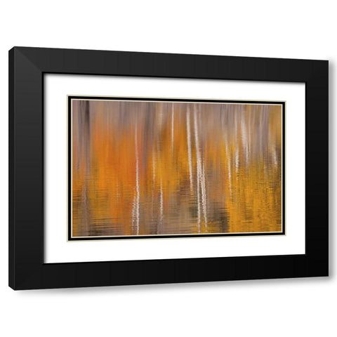 WA, Winthrop Autumn reflections on Beaver Pond Black Modern Wood Framed Art Print with Double Matting by Paulson, Don