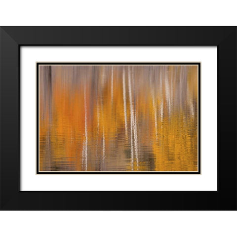 WA, Winthrop Autumn reflections on Beaver Pond Black Modern Wood Framed Art Print with Double Matting by Paulson, Don
