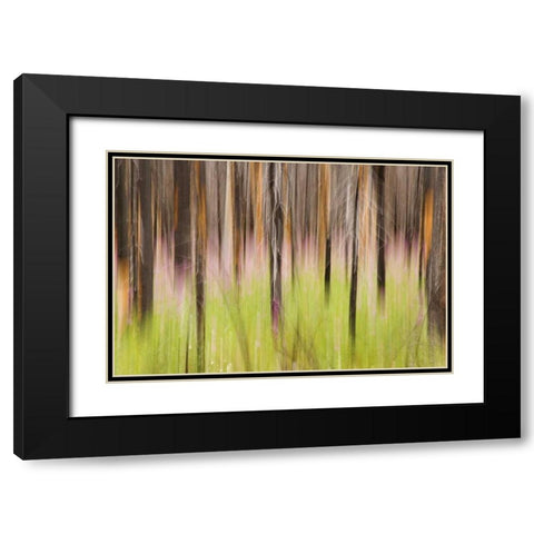 Canada, BC, Motion blur of grass and trees Black Modern Wood Framed Art Print with Double Matting by Paulson, Don
