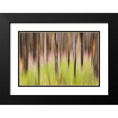 Canada, BC, Motion blur of grass and trees Black Modern Wood Framed Art Print with Double Matting by Paulson, Don