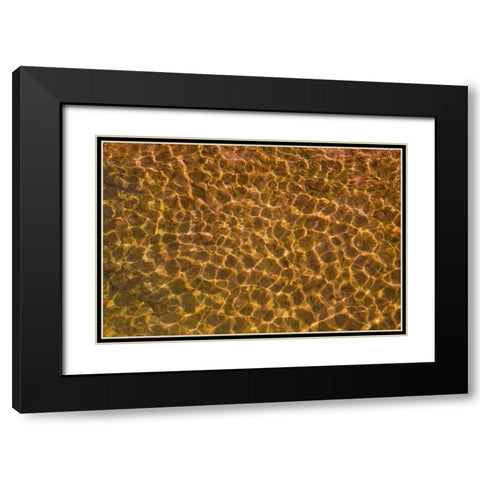 UT, Glen Canyon Sunlight in shallow water Black Modern Wood Framed Art Print with Double Matting by Paulson, Don