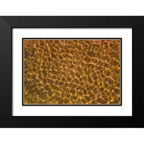 UT, Glen Canyon Sunlight in shallow water Black Modern Wood Framed Art Print with Double Matting by Paulson, Don